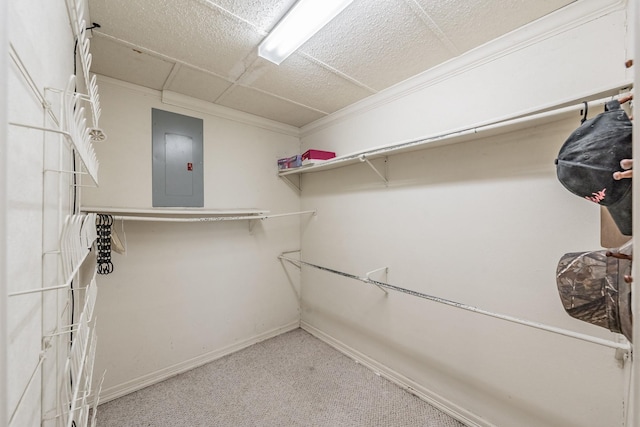 9820 County Road 514, Alvarado, TX 76009 - spacious closet featuring electric panel and carpet flooring