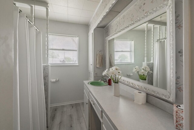 9820 County Road 514, Alvarado, TX 76009 - bathroom with wood finished floors, healthy amount of natural light, vanity, and baseboards