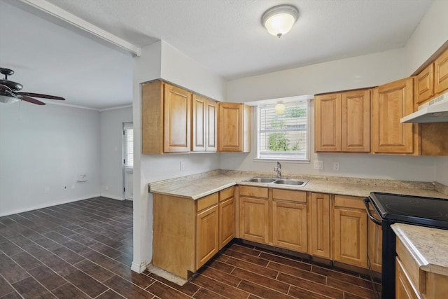 6529 Wooddale Dr, Watauga, TX 76148 - kitchen with black / electric stove, under cabinet range hood, a sink, light countertops, and ceiling fan
