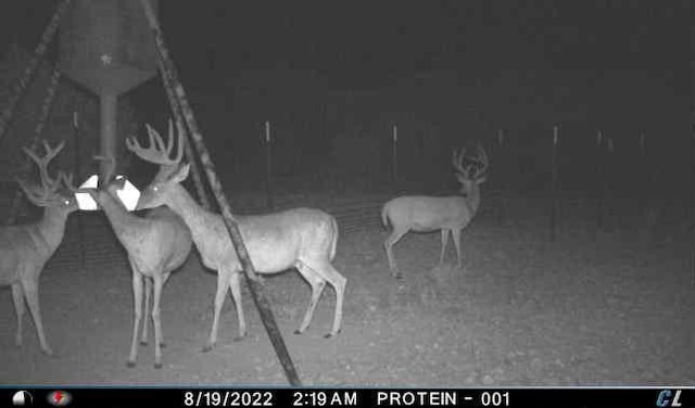 891 US Highway 183 S, Goldthwaite, TX 76844