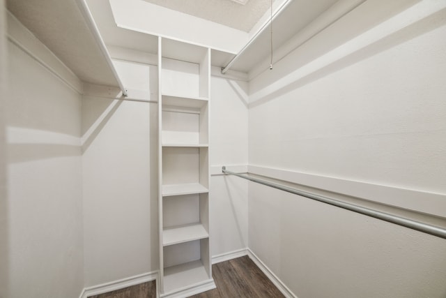 731 N Horne St, Duncanville, TX 75116 - walk in closet with dark wood-type flooring