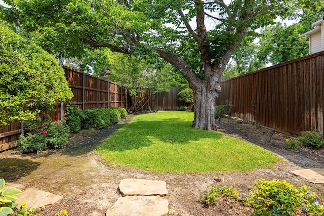 6137 Oram St, Dallas, TX 75214 - view of yard