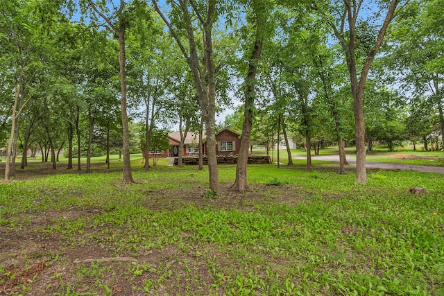 289 Cates Rd, Van Alstyne, TX 75495 - view of yard with view of scattered trees