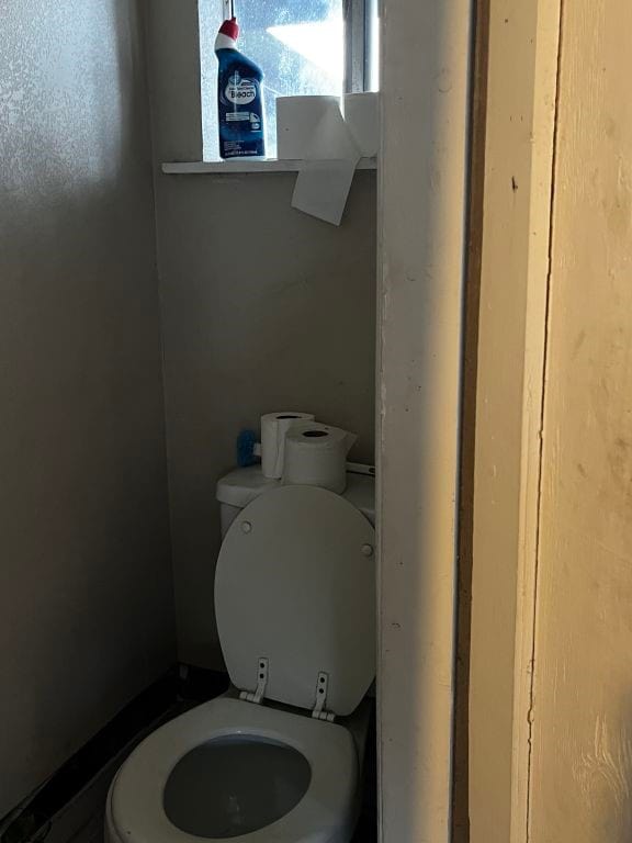 bathroom featuring toilet