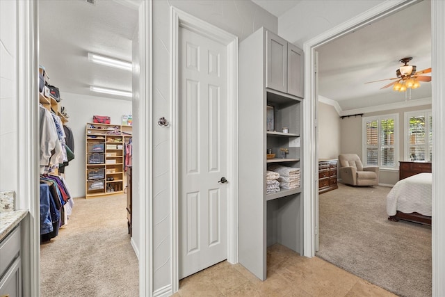 227 Justin Rd, Murphy, TX 75094 - bedroom featuring light colored carpet, ornamental molding, and ceiling fan
