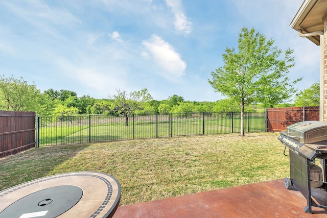14937 Belclaire Ave, Aledo, TX 76008 - view of yard