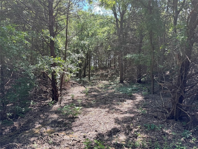 1234 County Road 2905, Dodd City, TX 75438