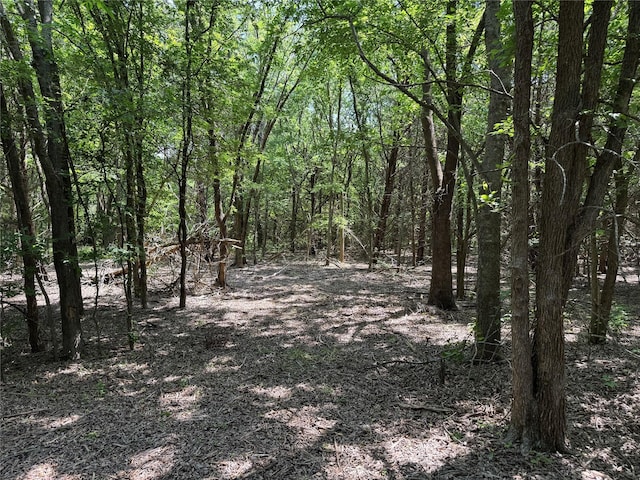 1234 County Road 2905, Dodd City, TX 75438