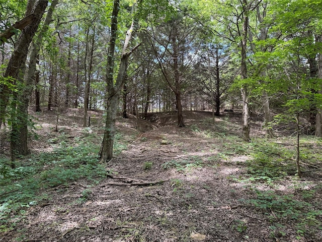 1234 County Road 2905, Dodd City, TX 75438