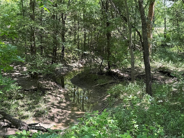 1234 County Road 2905, Dodd City, TX 75438