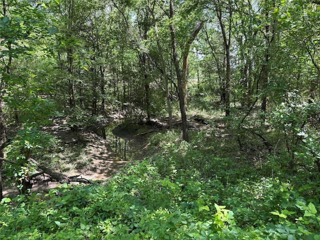 1234 County Road 2905, Dodd City, TX 75438