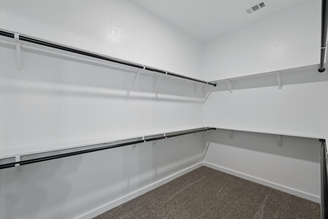 9413 Prairieview Dr, Fort Worth, TX 76134 - spacious closet featuring dark colored carpet
