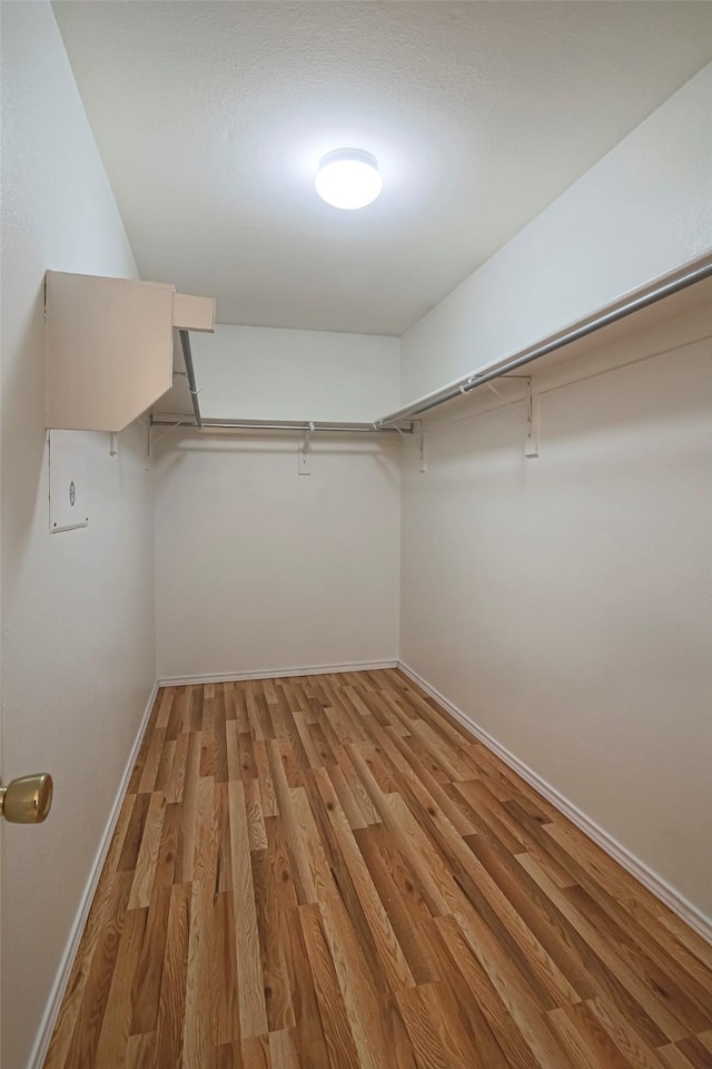 walk in closet with light wood finished floors