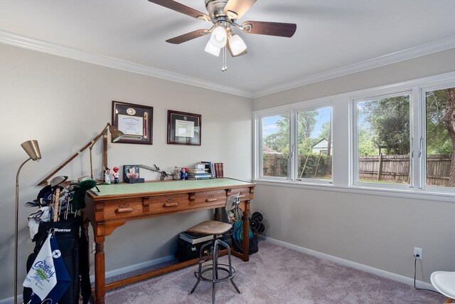 5730 Lovers Ln, Shreveport, LA 71105 - office featuring ornamental molding, baseboards, carpet, and ceiling fan