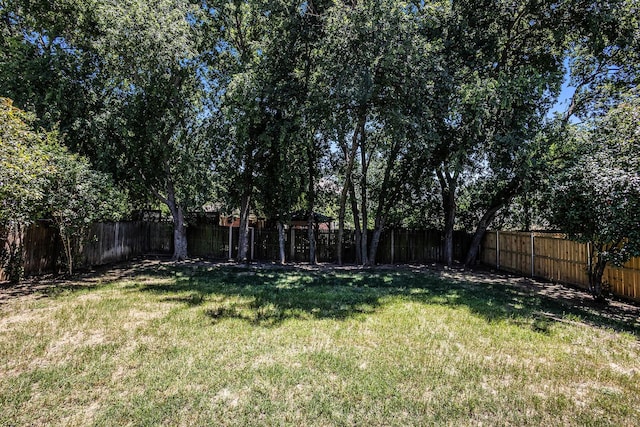 1516 Cheyenne Trl, Mansfield, TX 76063 - view of yard