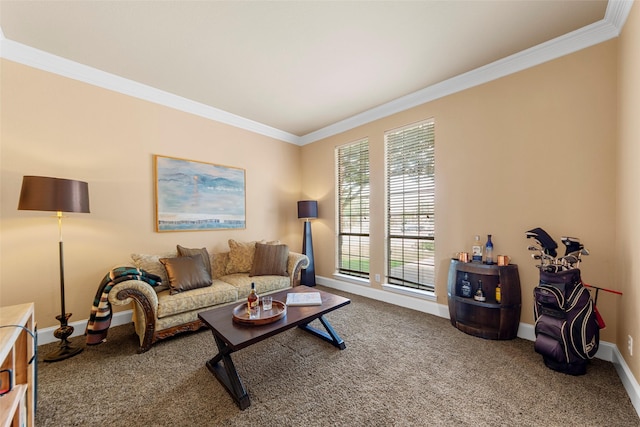 905 Sonora Dr, Allen, TX 75013 - carpeted living room featuring crown molding and baseboards