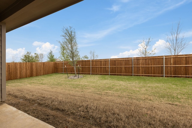3008 Balmorhea Ln, Mckinney, TX 75071 - view of yard