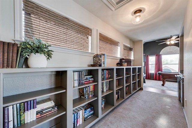 2466 Campfire Ln, Frisco, TX 75033 - hallway with carpet