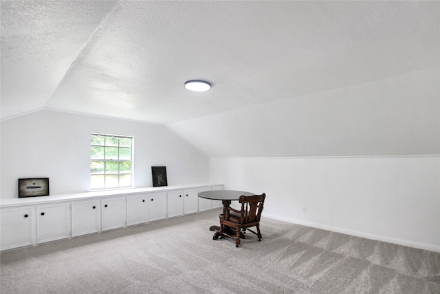 19413 US Highway 79 E, Jacksonville, TX 75766 - additional living space featuring lofted ceiling, light colored carpet, a textured ceiling, and baseboards