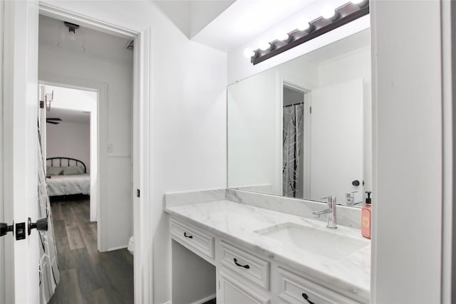 19413 US Highway 79 E, Jacksonville, TX 75766 - bathroom with wood finished floors and vanity