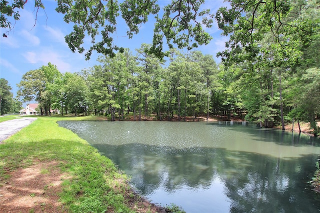 19413 US Highway 79 E, Jacksonville, TX 75766 - water view