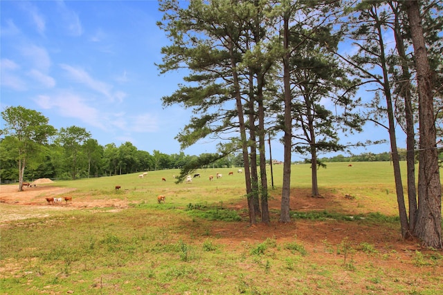 19413 US Highway 79 E, Jacksonville, TX 75766 - view of nature with rural landscape