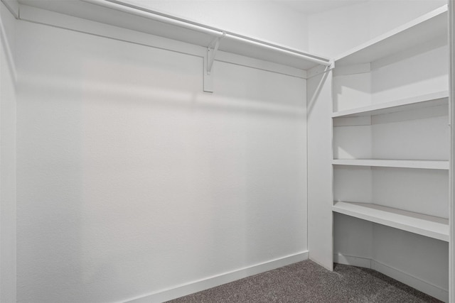 2636 Carter Ave, Fort Worth, TX 76103 - walk in closet with dark carpet