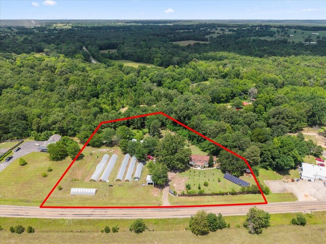 7928 Farm Rd Unit 127, Mount Pleasant, TX 75455 - view of property location featuring a forest and property boundaries highlighted