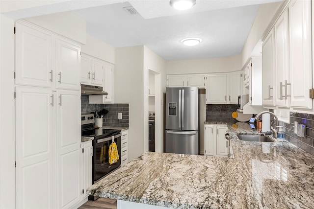 2935 Maydelle Ln, Farmers Branch, TX 75234 - kitchen featuring stainless steel appliances, a sink, under cabinet range hood, and decorative backsplash