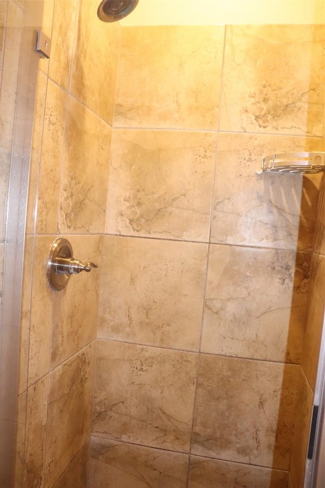 414 Stonecreek Dr, Princeton, TX 75407 - bathroom view of tiled shower