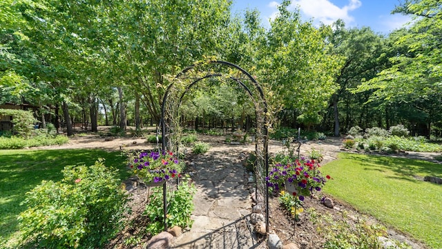 253 Valtie Davis Rd, Combine, TX 75159 - view of green lawn