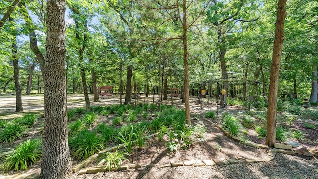 253 Valtie Davis Rd, Combine, TX 75159 - view of local wilderness