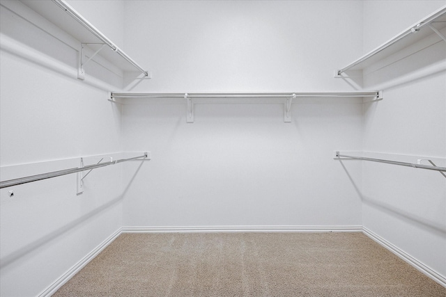 walk in closet with carpet flooring