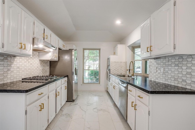 2204 Mediterranean Ave, Arlington, TX 76011 - kitchen featuring a sink, under cabinet range hood, appliances with stainless steel finishes, light marble finish floors, and dark countertops