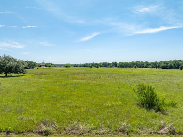 22020 Raintree Ct, Whitney, TX 76692