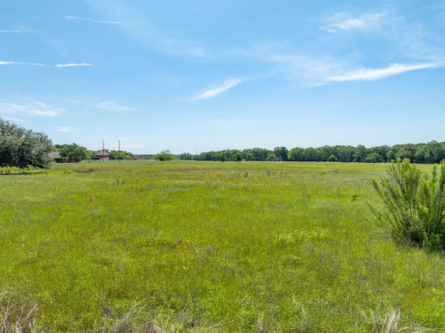 22020 Raintree Ct, Whitney, TX 76692