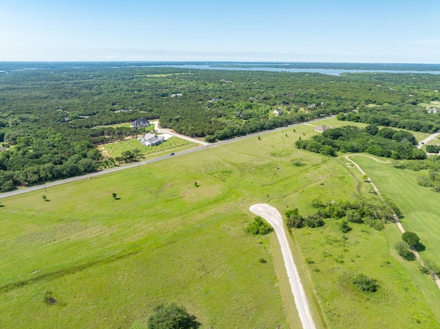 22020 Raintree Ct, Whitney, TX 76692