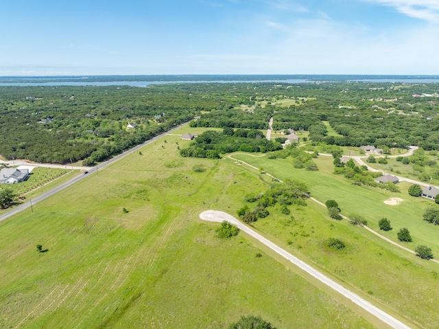 22020 Raintree Ct, Whitney, TX 76692