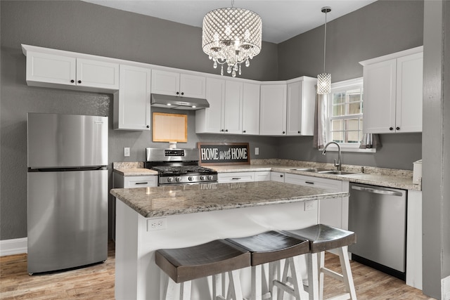 2721 Ave G, Fort Worth, TX 76105 - kitchen featuring appliances with stainless steel finishes, under cabinet range hood, a sink, and light wood finished floors