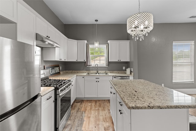 2721 Ave G, Fort Worth, TX 76105 - kitchen with appliances with stainless steel finishes, under cabinet range hood, a sink, light wood-style flooring, and a kitchen island