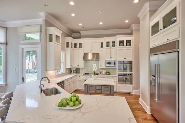 3 Savannah Ridge Dr, Frisco, TX 75034 - kitchen featuring built in appliances, a sink, under cabinet range hood, ornamental molding, and white cabinets
