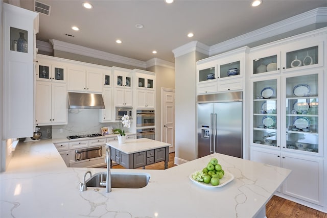 3 Savannah Ridge Dr, Frisco, TX 75034 - kitchen with built in appliances, a sink, crown molding, under cabinet range hood, and a warming drawer