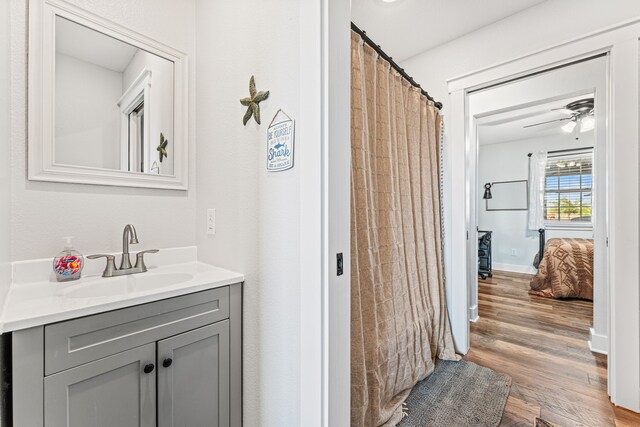 179 Johnston Dr, Decatur, TX 76234 - full bath featuring vanity, wood finished floors, and a ceiling fan