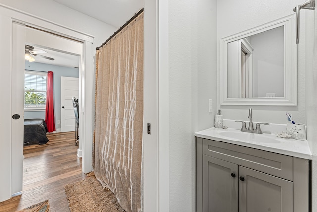 179 Johnston Dr, Decatur, TX 76234 - full bath featuring vanity, wood finished floors, a ceiling fan, and a shower with shower curtain