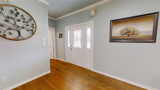 1407 Lady Amber Ln, Granbury, TX 76049 - entryway with crown molding, baseboards, and wood finished floors