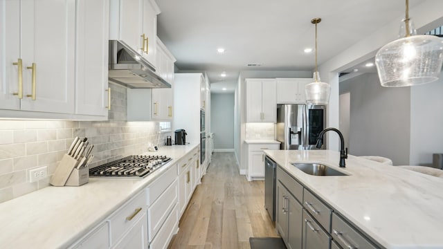 4190 Sandhills Ln, Prosper, TX 75078 - kitchen with appliances with stainless steel finishes, a sink, under cabinet range hood, white cabinets, and light wood-style flooring