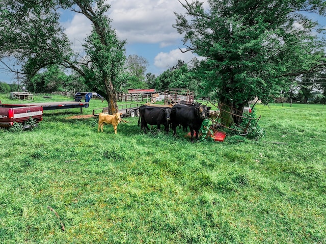 14581 Texas Highway 11 E, Pickton, TX 75471 - view of yard with a view of countryside