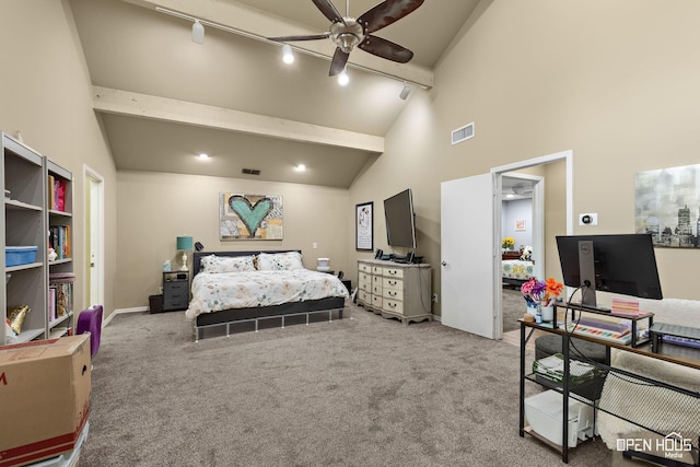 4403 Nassau Dr, Wichita Falls, TX 76308 - bedroom with rail lighting, high vaulted ceiling, and carpet flooring
