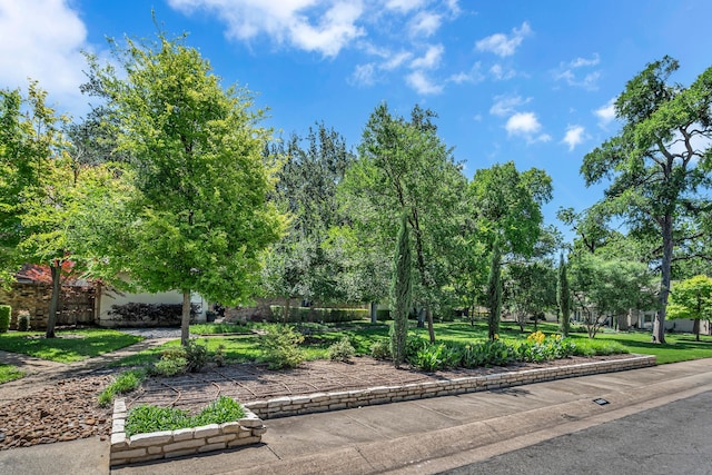 6433 Southpoint Dr, Dallas, TX 75248 - view of home's community with a lawn