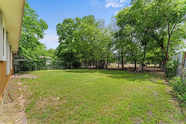 1008 Pleasant Dr, Dallas, TX 75217 - view of yard